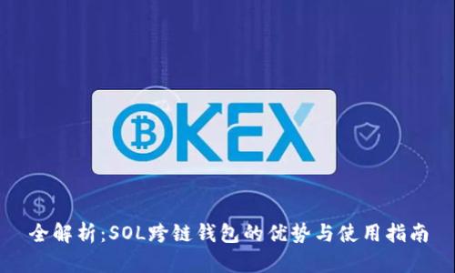 全解析：SOL跨链钱包的优势与使用指南