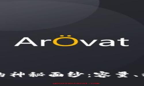 揭开比特币钱包的神秘面纱：容量、种类与安全性解析