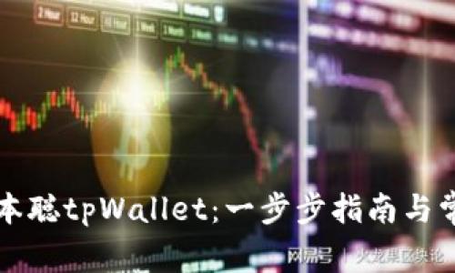 深入安装中本聪tpWallet：一步步指南与常见问题解析