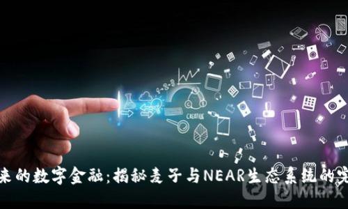构建未来的数字金融：揭秘麦子与NEAR生态系统的完美结合